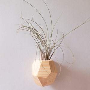 Hemlock Geometric Air Plant Holder image 5