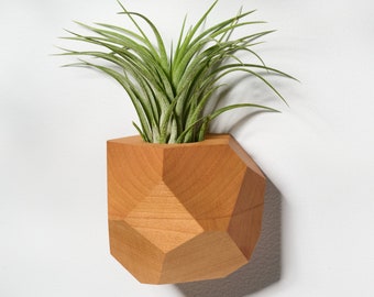 Cherry Geometric Air Plant Holder