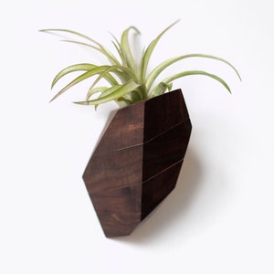 SECONDS SALE ** Wall Mounted Geometric Air Plant Holder Made from Reclaimed Walnut