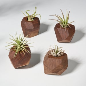 May include: Four geometric wooden planters in a dark brown colour, each holding a small air plant. The planters are made of solid wood and have a unique, faceted design.