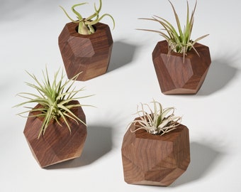 Set of 4 Walnut Geometric Air Plant Holder