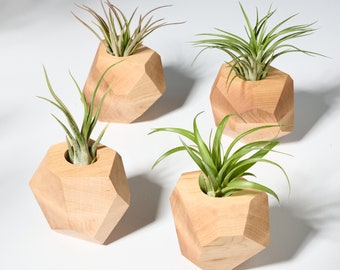 Set of 4 Maple Geometric Air Plant Holder