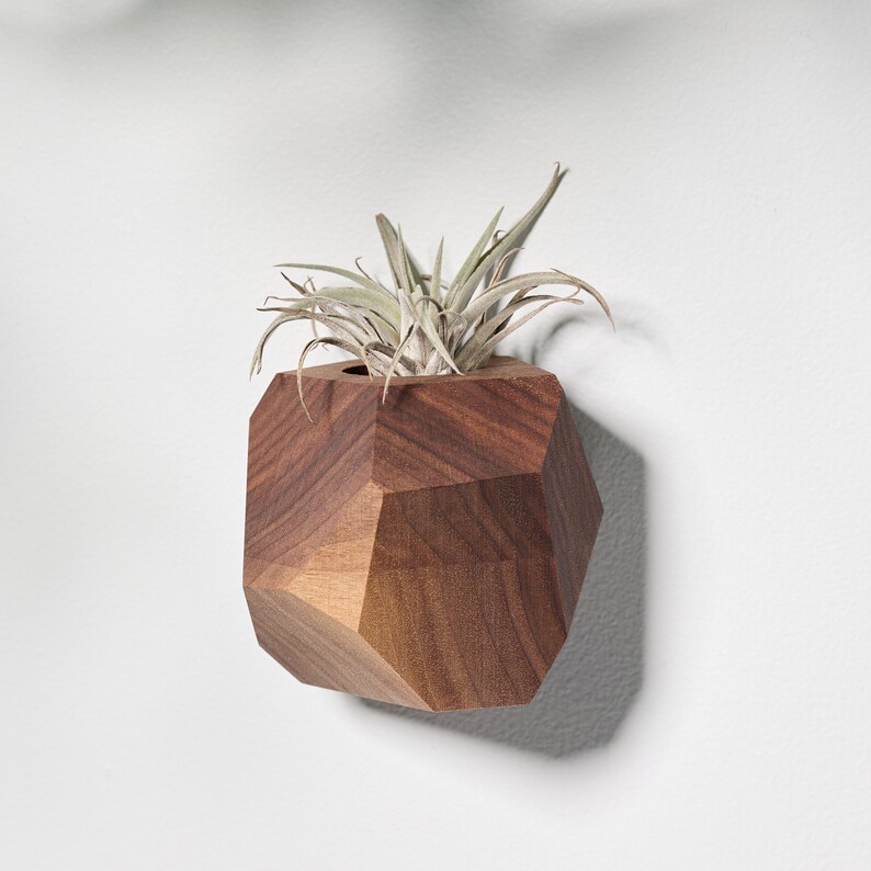 Walnut Geometric Air Plant Holder image 4