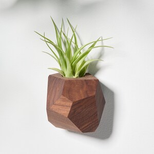 Walnut Geometric Air Plant Holder image 2