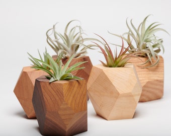 Geometric Wood Air Plant Holder Set: Pennsylvania Hardwoods, Set of 5