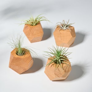 Set mit 4 roten geometrischen Luftpflanzenhaltern