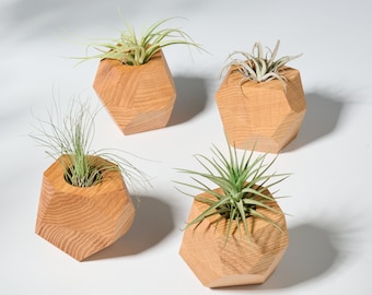Set of 4 Red Oak Geometric Air Plant Holder