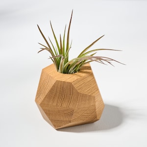 Weiße Eiche Geometrischer Luftpflanzenhalter