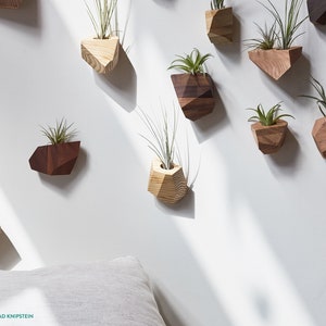 Hemlock Geometric Air Plant Holder image 9