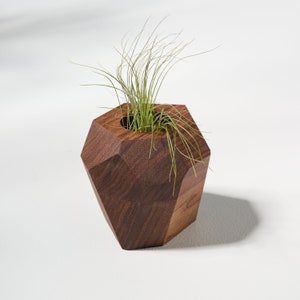 Walnut Geometric Air Plant Holder image 3