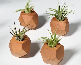 Set of 4 Cherry Geometric Air Plant Holder