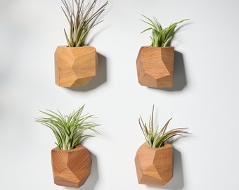 Set of 4 Elm Wood Air Plant Holder