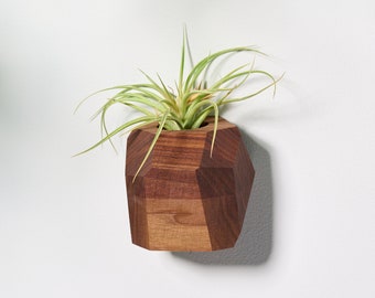 Walnut Geometric Air Plant Holder