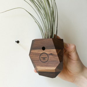 Walnut Geometric Air Plant Holder image 7