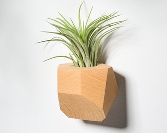 Beech Wood Geometric Air Plant Holder