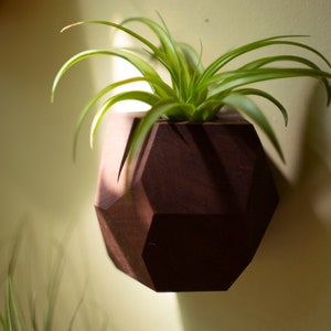 Walnut Geometric Air Plant Holder image 1