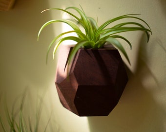 Walnut Geometric Air Plant Holder