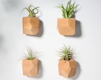 Set of 4 Beech Wood Geometric Air Plant Holder