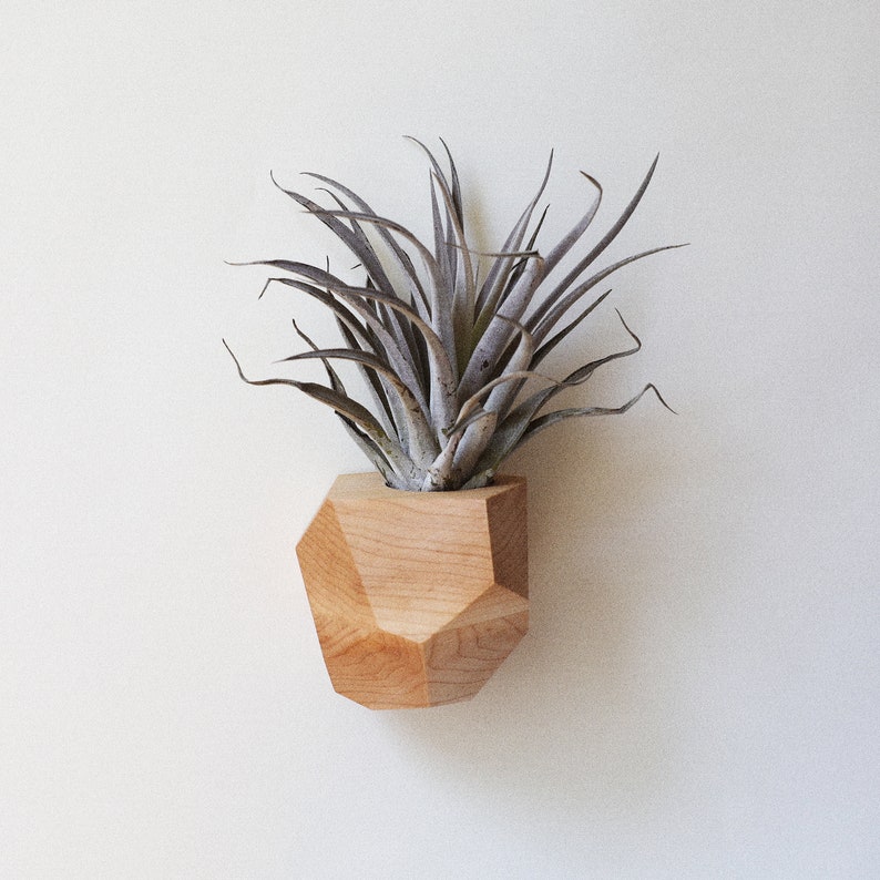 Maple Geometric Air Plant Holder image 5