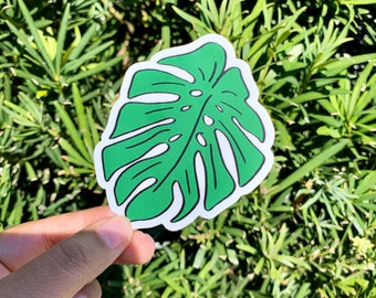 Hydroflask Stickers - Aesthetic Stickers - Sassy Stickers - VSCO Stickers - Matte Vinyl Sticker - Kawaii Stickers - Monstera Stickers