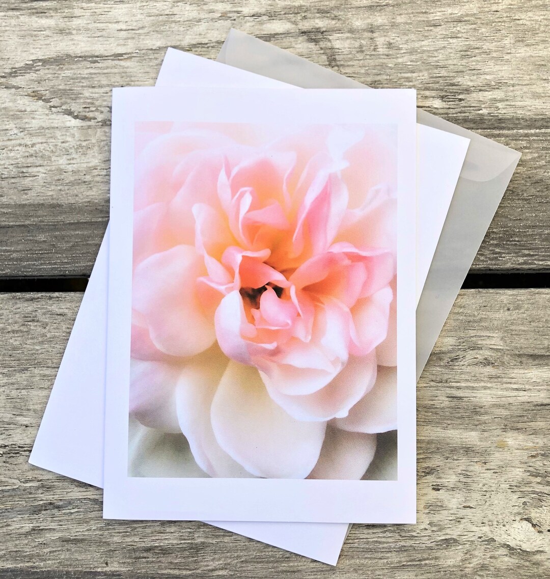 Pink Rose Note Card, Pink Rose Card, Floral Note Cards, Botanical Note ...