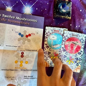 Order Of The Twelve Mushrooms Holographic Oracle Deck, Guidebook and Membership Synchronicity, Reincarnation, Sacred Geometry, Chakras image 5