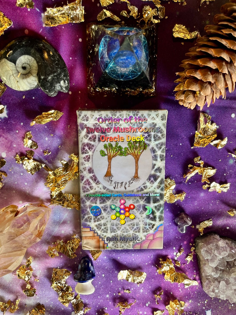 Order Of The Twelve Mushrooms Holographic Oracle Deck, Guidebook and Membership Synchronicity, Reincarnation, Sacred Geometry, Chakras image 10