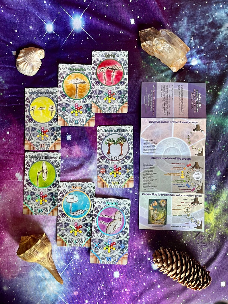 Order Of The Twelve Mushrooms Holographic Oracle Deck, Guidebook and Membership Synchronicity, Reincarnation, Sacred Geometry, Chakras image 3