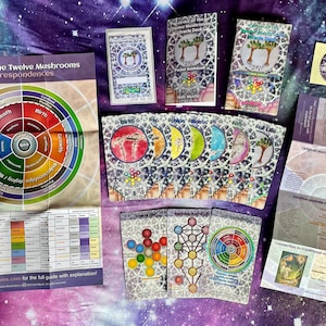 Order Of The Twelve Mushrooms Holographic Oracle Deck, Guidebook and Membership Synchronicity, Reincarnation, Sacred Geometry, Chakras image 1