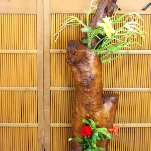 Very tall vintage Japanese kiri wood ikebana flower arranging piece, 39&quot;h, 2 copper vases, free form wooden sculpture, golden brown