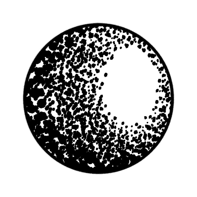 6 Round Stipple Brushes for Etsy