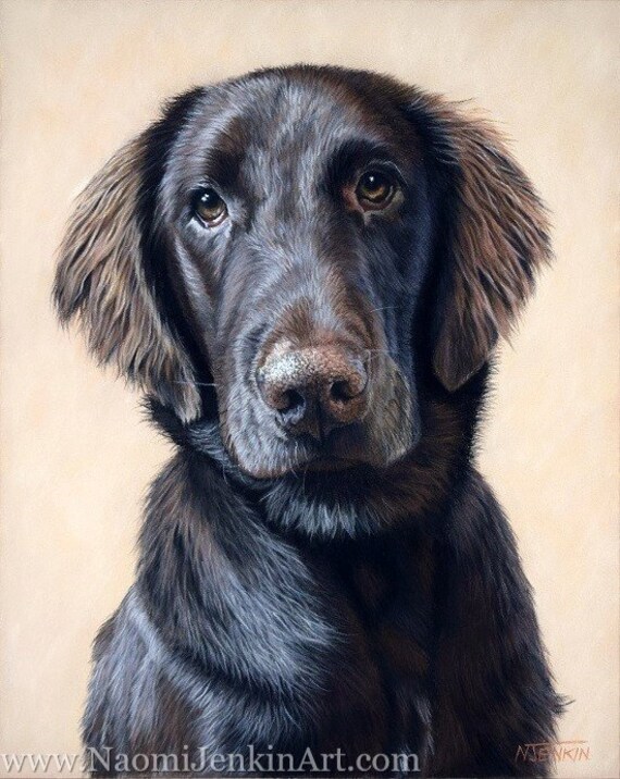 Chocolate Flatcoat Retriever Puppy Dog Pet Portrait Custom Etsy