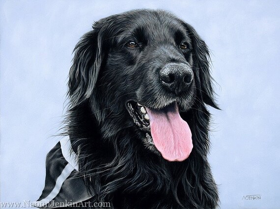 Black Flatcoat Retriever Dog Pet Portrait Custom Made Hand Etsy