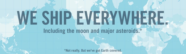 Op de afbeelding: Een wereldkaart met de tekst "WE SHIP EVERYWHERE. Including the moon and major asteroids.*" en een notitie onderaan die zegt "*Not really. But we've got Earth covered."