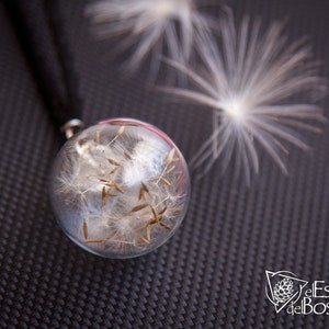 Real Dandelion seed terrarium necklace. Glass bottle pendant. Botanical necklace, Gift, Dandelion jewelry.