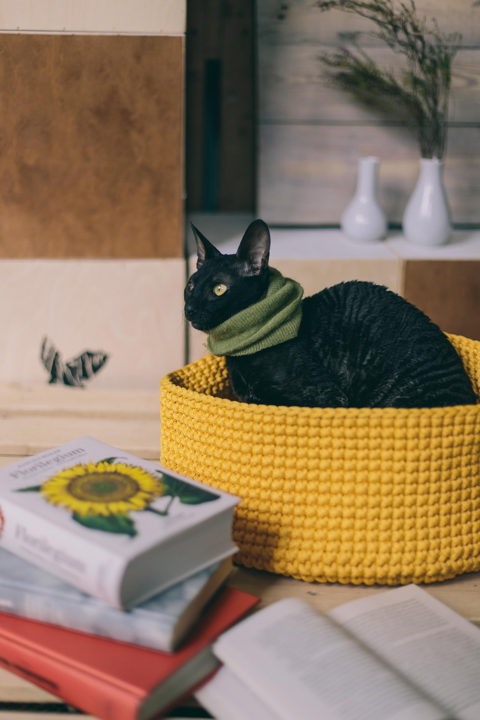 Crochet Pet Bed Handmade Pet Bed Etsy