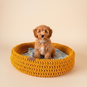 Può includere: Un cucciolo piccolo, soffice e marrone chiaro è seduto in una cuccia rotonda per cani all'uncinetto giallo senape. Il letto ha un cuscino blu fantasia. Il cucciolo indossa un collare colorato chiaro. Lo sfondo è di colore beige chiaro.