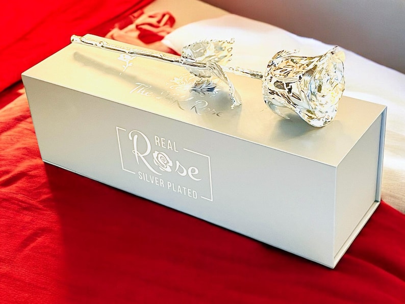 Op de afbeelding: Een zilveren roos in een witte doos met de tekst "REAL Rose SILVER PLATED" op de voorkant.
