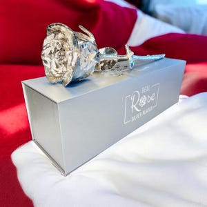 Op de afbeelding: Een zilveren roos in een doos met de tekst "REAL Rose SILVER PLATED" op de doos.
