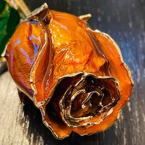 100% Real Rose, 24K Gold Plated, 11.5” Gift Box, Anniversary, Wedding, Birthday, Valentines Day rose, Mother’s Day, gifts for her