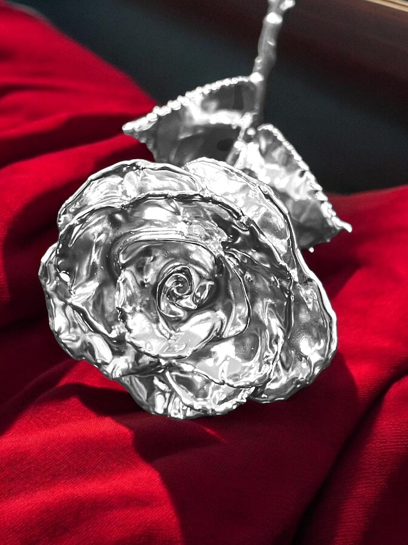 Op de afbeelding: Een enkele zilveren roos met een glanzende, metalen afwerking. De roos ligt op een rood fluwelen oppervlak.