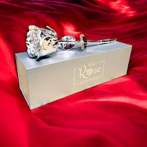 100% Real Rose, Silver Dipped, 11.5”, 25th Anniversary, Birthday, Weddiing, Proposal, Valentines Day rose, Mother’s Day, gifts for him