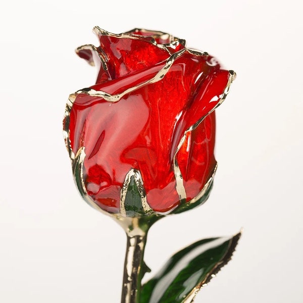 100 % rose véritable, coffret cadeau 31,5 pouces plaqué or 24 carats (rouge), anniversaire, mariage, anniversaire, fête des mères, saint valentin, cadeaux pour elle, proposition de mariage