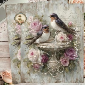 Shabby Chic Birds And Roses Rice Paper for Decoupage A4 Size