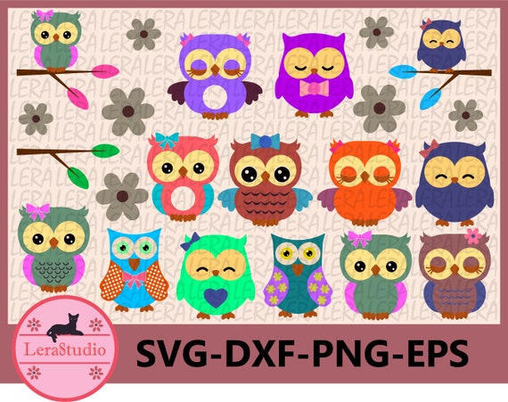 Download 60 Off Owl Monogram Frames Svg Owl Svg Monogram Owl Svg Etsy