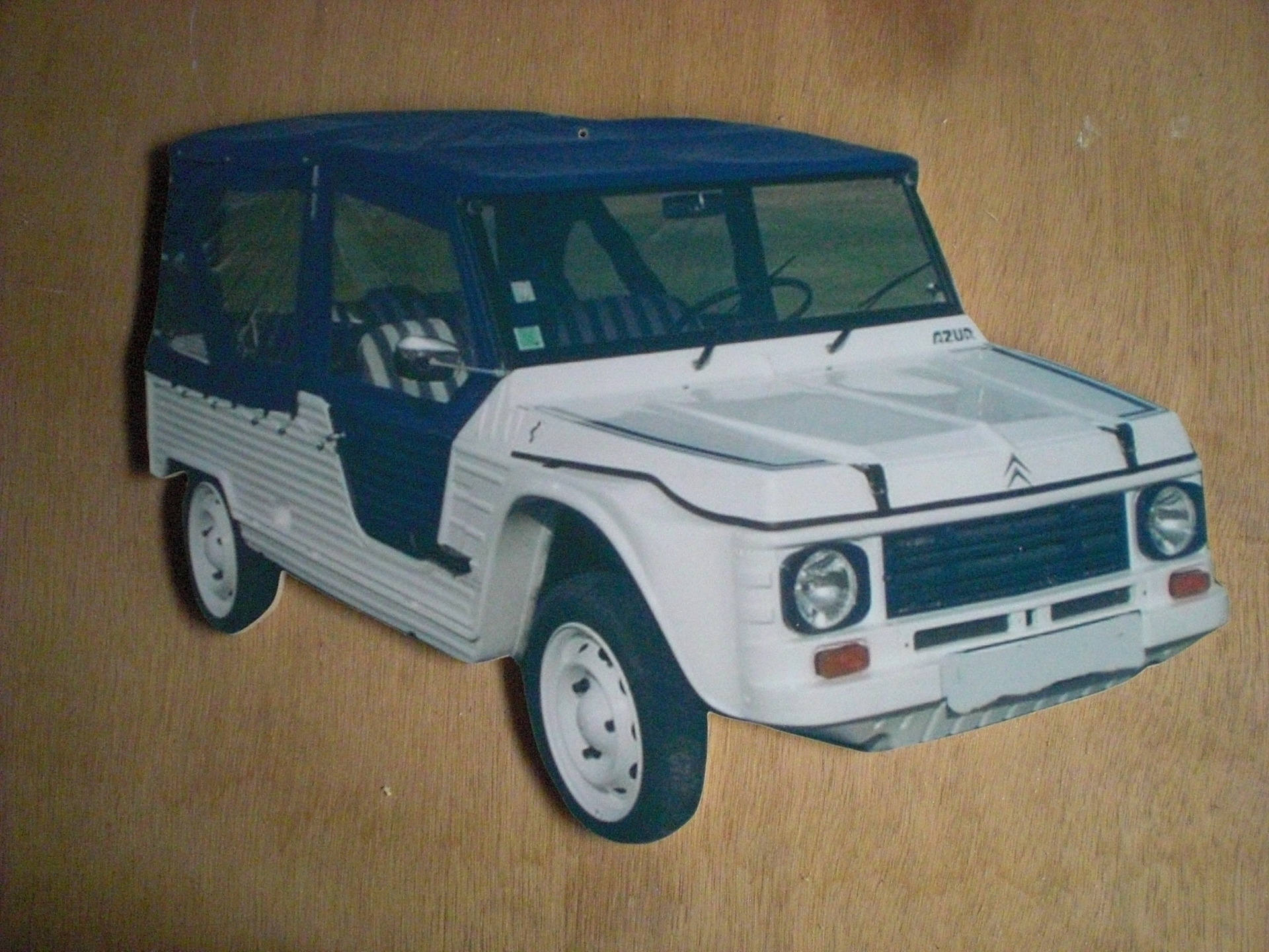 Plaque Décorative Mehari Azur, Plaque Personnalisé, Portrait Pet, Cadeau Personnalisé