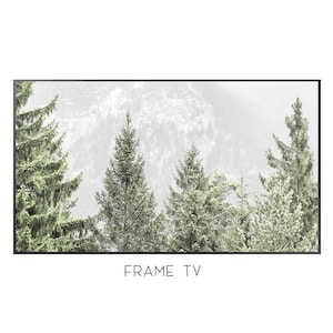 Forest Digital Art For Tv | Samsung Frame Tv Art | Digital Download   #0958
