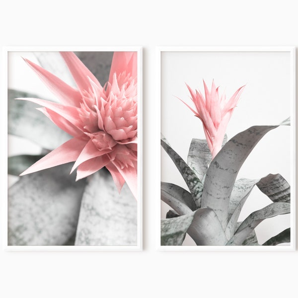 Botanical Print Set | Printable Bromeliad Flower Wall Art DOWNLOAD   #0583