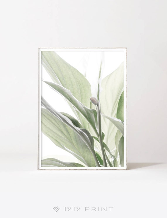 Botanical Art Plant Print Boho Home Decor DIGITAL PRINT | Etsy
