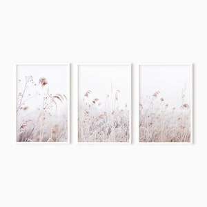 Dried Grass Set Of 3 Prints | Downloadable Farmhouse Decor   #0608